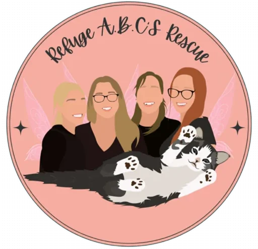 A.B.C.'S. Rescue