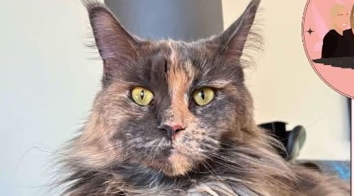 Maïka